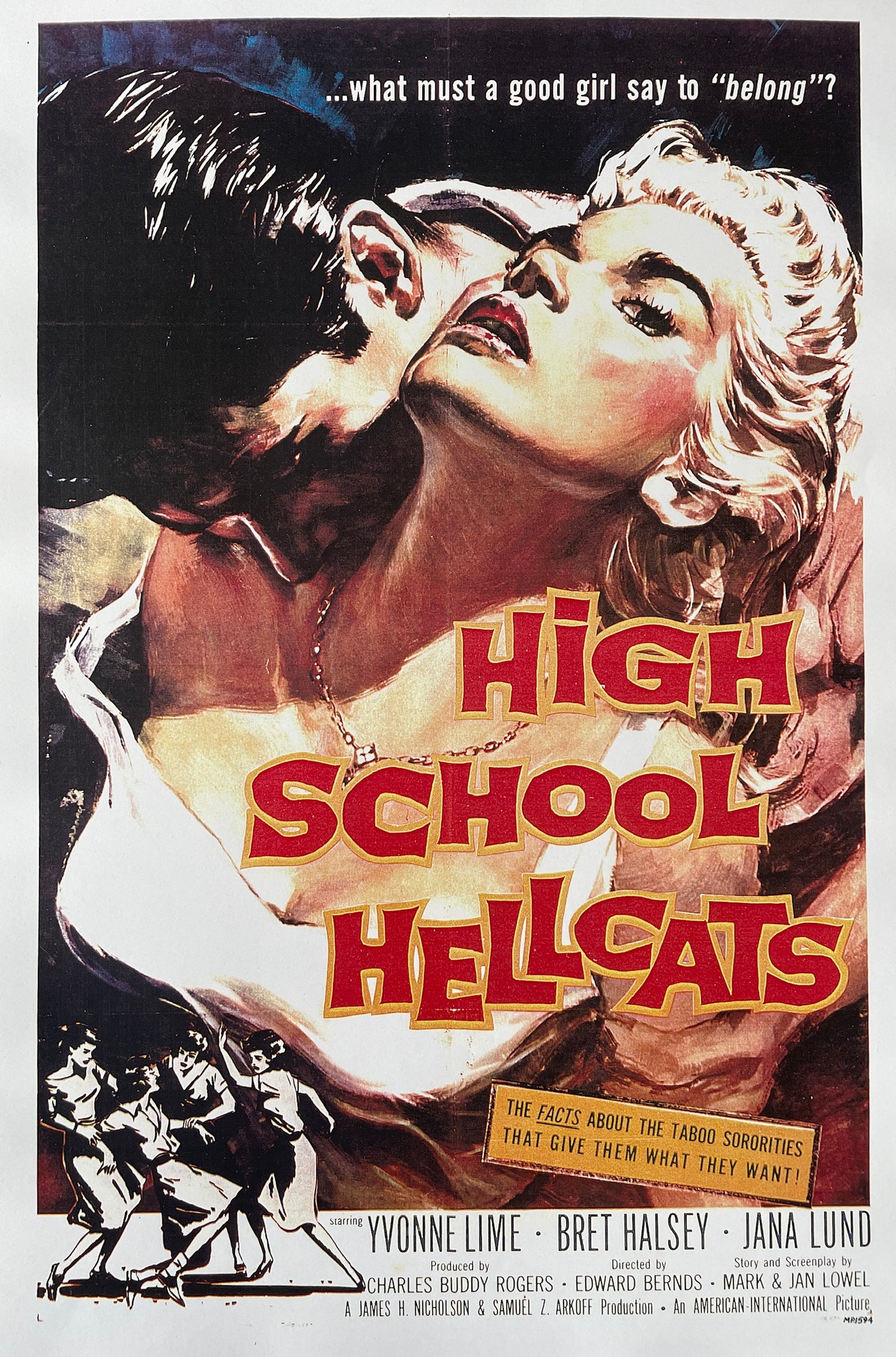 Poster DIN A3 - High School Hellcats