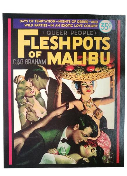 Poster DIN A3 - Fleshpots Of Malibu