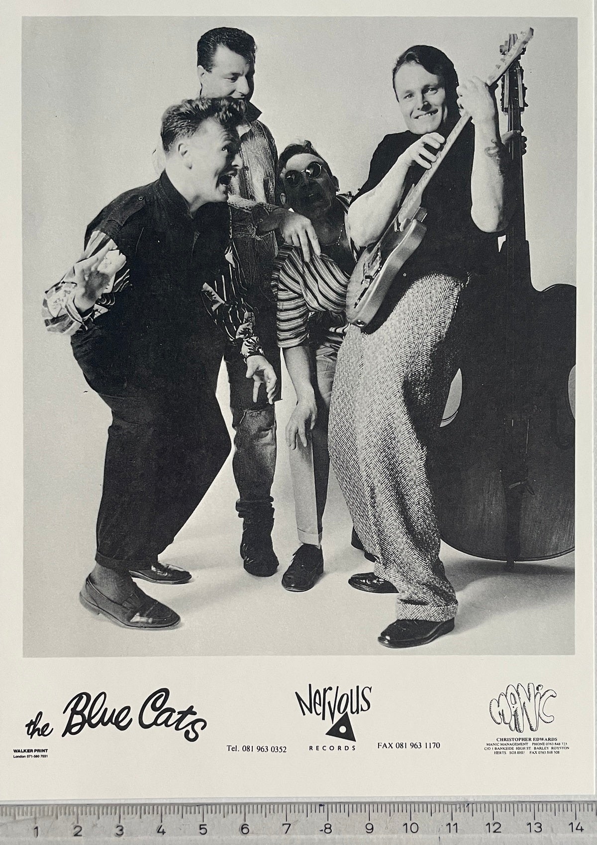 Autogramm-Foto - Blue Cats