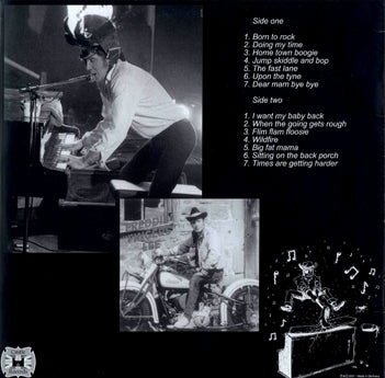 LP - Freddie Fingers Lee - Born To Rock