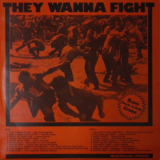 LP - VA - They Wanna Fight