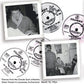 10inch - Gene Vincent - Temptation Baby - The Complete Columbia
