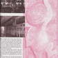 Magazin - Barracuda - No. 22