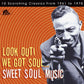 CD - VA - Look Out! We Got Soul - Sweet Soul Music