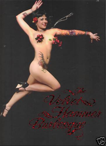 Buch - The Velvet Hammer Of Burlesque