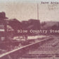 CD - Dave Arcari - Blue Country Steel