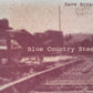 CD - Dave Arcari - Blue Country Steel