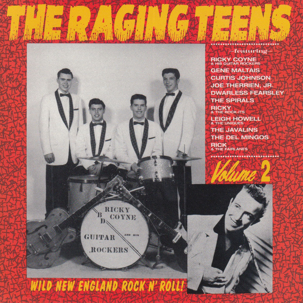 CD - VA - The Raging Teens Vol. 2