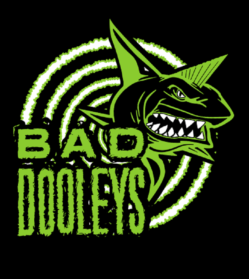 CD - Bad Dooleys - Wild Wood