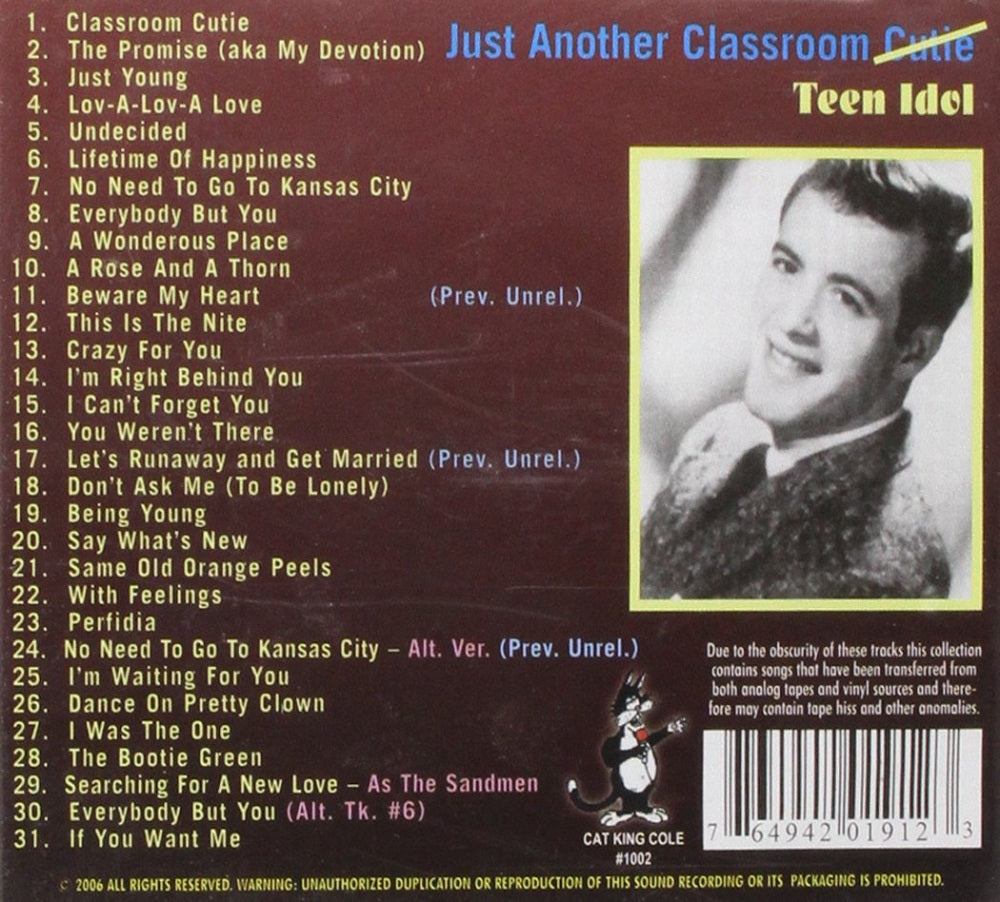 CD - Andy Rose - Just Another Classroom Teen Idol