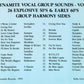 CD - VA - Dynamite Group Sounds - Vol. 2