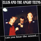 CD - Ellis & The Angry Teens - Can You Hear The Sound