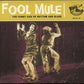 CD - VA - Fool Mule