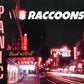 CD - Raccoons - Panic