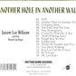 CD - Jason Lee Wilson - Another Hole In The Wall
