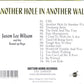 CD - Jason Lee Wilson - Another Hole In The Wall