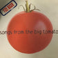 CD - Risk - Songs From The Big Tomato