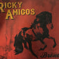 CD - Ricky Amigos - Bronco