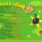 CD - VA - Catch A Falling Star Vol. 1