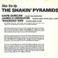 CD - Shakin Pyramids - The Collection