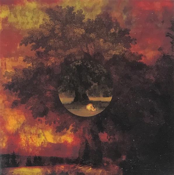 CD - Movie Star Junkies - A Poison Tree