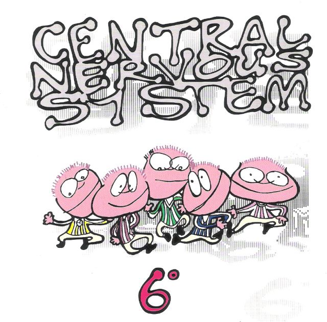 CD - Central Nervous System - 6°