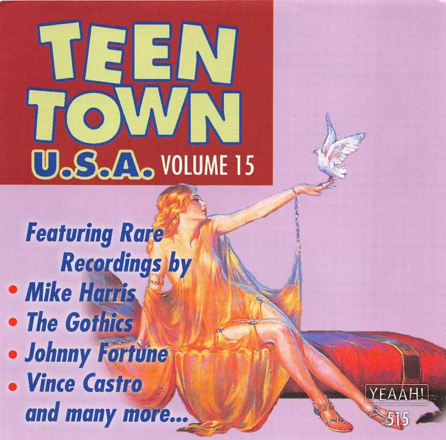 CD - VA - Teen Town USA Vol. 15