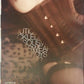 Magazin - Dynamite! - No. 67