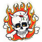 Frank Kozik Aufkleber - Flaming Skull