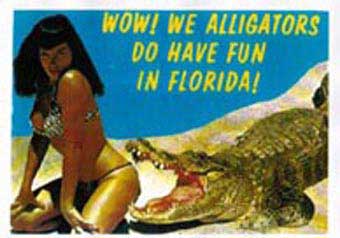 Poster DIN A3 - Bettie Page - Wow We Alligators