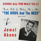 Poster DIN A3 - Jewel Akens - The Birds