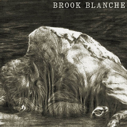 LP - Brook Blanche - same