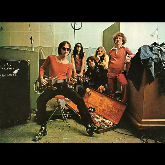 LP - Flamin Groovies - Teenage Head - Original Kama Sutra Album