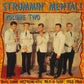 LP - VA - Strummin’ Mental Vol. 2
