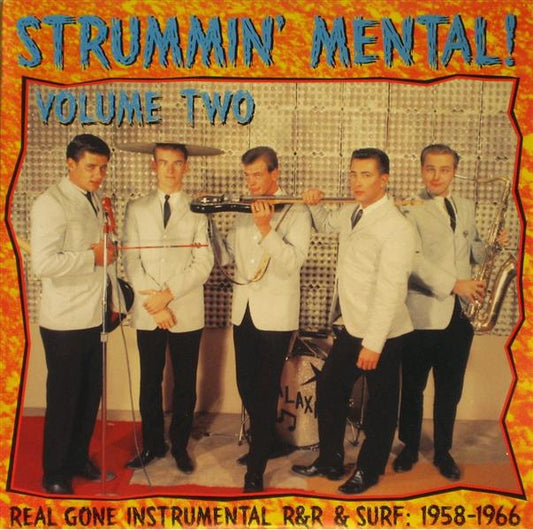 LP - VA - Strummin’ Mental Vol. 2
