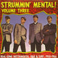 LP - VA - Strummin’ Mental Vol. 3