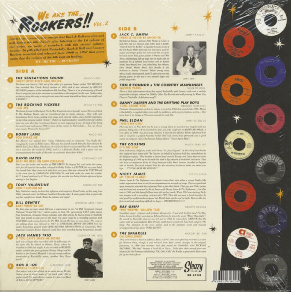 LP - VA - We Are The Rockers!! Vol.2