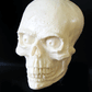 Shift Knobs - Numb Skull Shift Knob