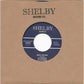 Single - Tennessee Rhythm Riders - Traffic Cop Blues; How Can I Tell You