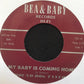 Single - Hound Dog Taylor - My Baby Is Coming Home / Take Five