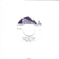 Single - Steve Bledso & The Blue Jays - Smooth Operator, Too Many Girl Friends