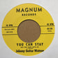 Single - Johnny Guitar Watson - Big Bad Wolf / You Can Stay