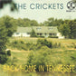 Single - Crickets - Blackmail, I Can't Hold On (For A While), We