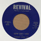 Single - Shirley Ann Lee - How Can I Lose; There's A Light