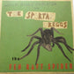 Single - Wild Billy Childish - The Fen Raft Spider