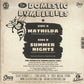 Single - Domestic Bumblebees - Mathilda; Summer Nights