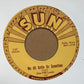 Single - Joe Hill Louis - We All Gotta Go Sometime / She May Be Yours